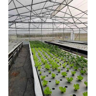 UV Proof Greenhouse Hydroponics System Vegetables Growing Deep Water Culture System