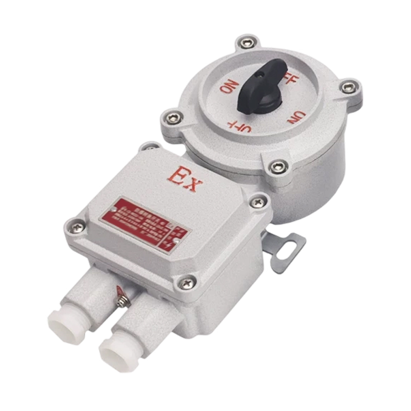 Explosion-Proof Transfer Switch 10A IP66 Waterproof Cam Switch for Chemical Oil Gas Hazardous Zone 1 Zone 2