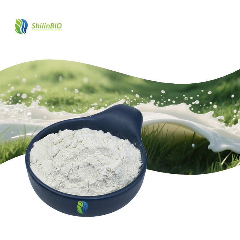 Food Grade 90% Bovine WPI Whey Protein Isolate Powder