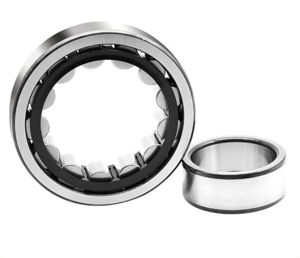 Radial Cylindrical Roller Bearings N216 N218 N220 N200 Series N205 N220