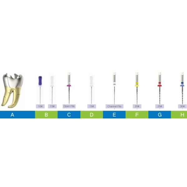 Endodontics Treatment Dental Rotary Niti Endo Files