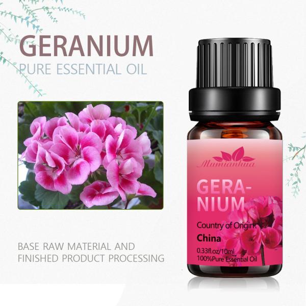 Volume 5ml Body Essential Oils Perfume OEM / ODM Organic Geranium Essential Oil