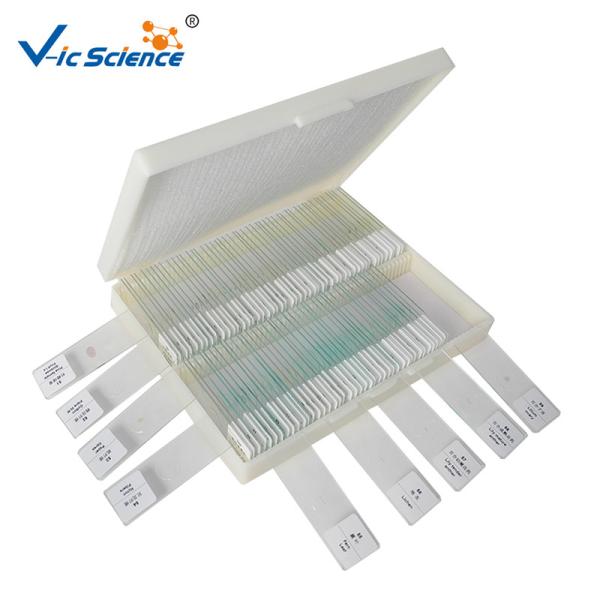 Laboratory Disposable Microscope Glass Slides  Biological Teaching Glass Slides Set 100pcs