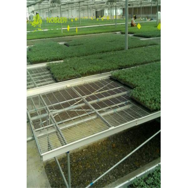 Большой парник провода растет кровати и таблицы/таблицы садового центра