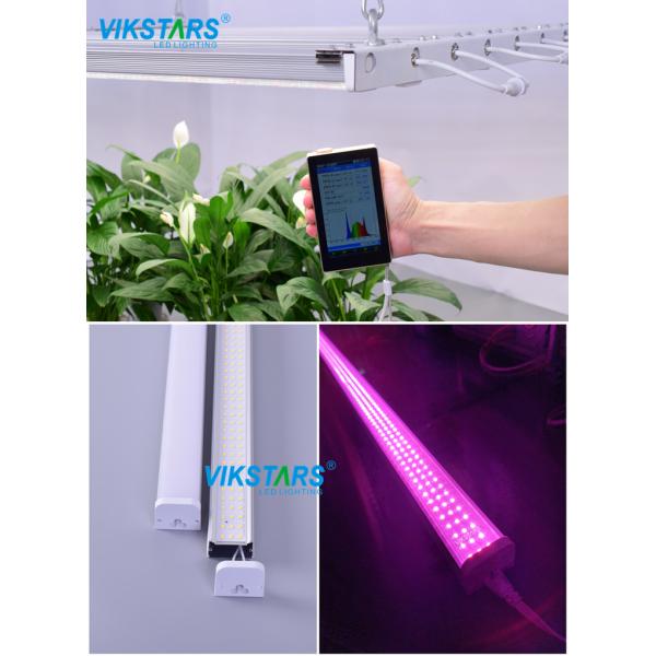 Завод СИД 336PCS ODM крытый растет света 47.2in 60Hz для овоща