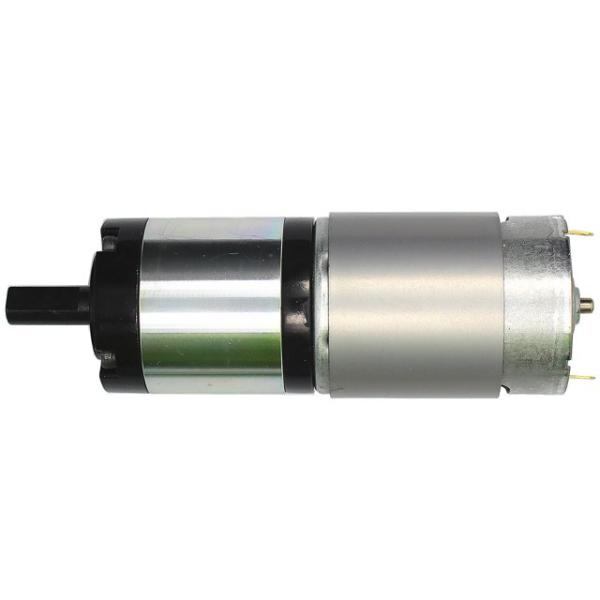 Electric Curtains Motor 6-24V 1-130Kgf.Cm 0.5-600RPM Go-Gold