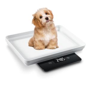 Balance de sol pour petits animaux de compagnie 5 kg 1 g avec écran LCD Balance