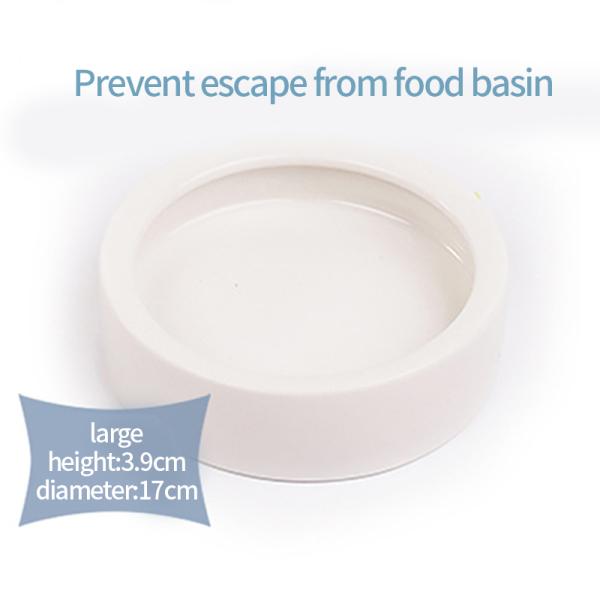 Cuenco para mascotas evita que los gusanos del pan escapen Lagarto Cerámica Plato de agua para alimentos Reptil