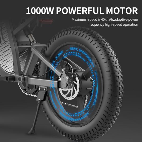 Elegant 48V 20AH Fat Tire Electric Bike 2000w 1000w Aluminum Alloy Electric Bicycle