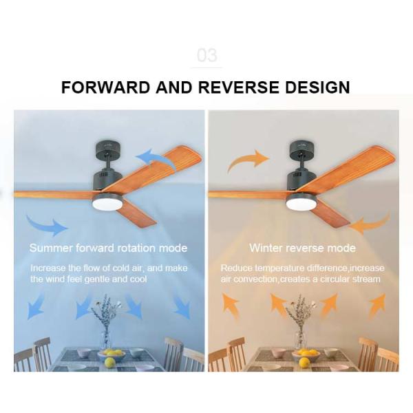 2022 Indoor Decorative BLDC Fan Ceiling Fan Light com controle remoto em cores multicolor