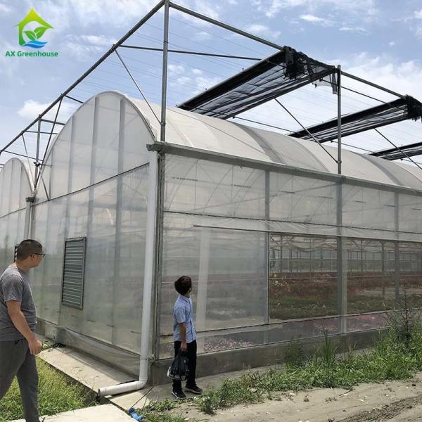 Estufa de aço galvanizada quente do filme plástico para agrícola