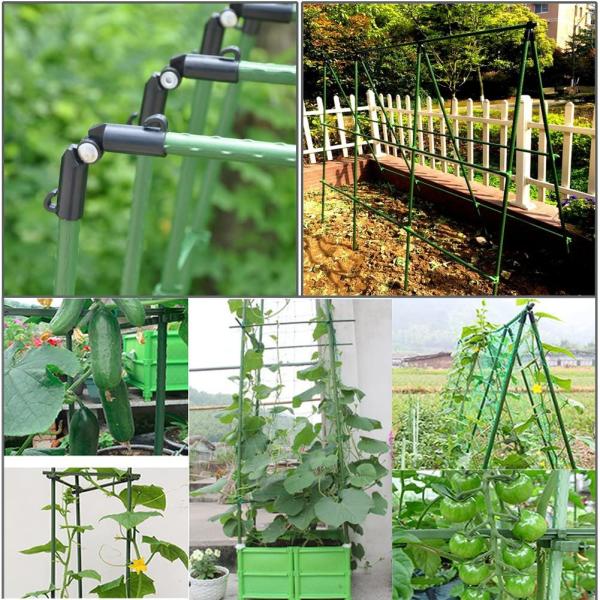Corrosion Resisting 240cm 20mm Eggplant Flower Supports Plant Stakes