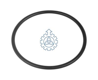  O-ring 17297380