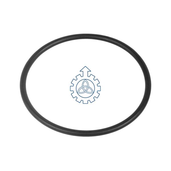  O-ring 17297380