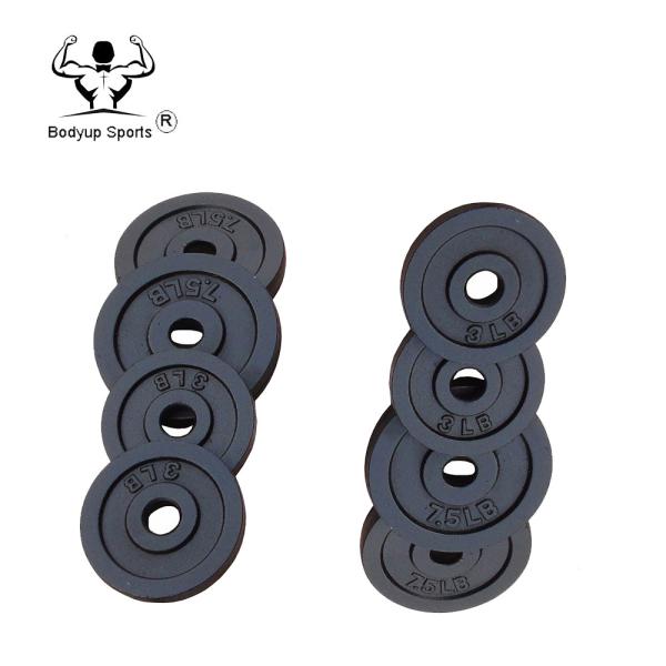 Black Painting Cast Iron Weight lifting weight Plate For Gym