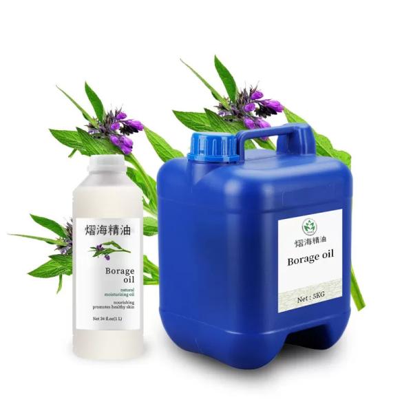 Factory Wholesale Borage Oil Gentle Natural Massage Spa Carrier Oil For babies all person