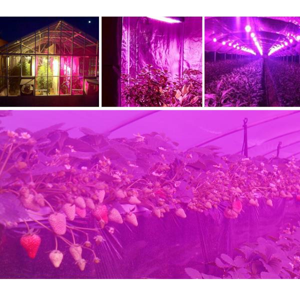 Красный голубой 150W 289 завод СИД Dimmable крытый растет света