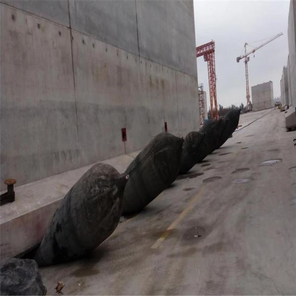 Воздушная подушка морского пехотинца воздушных подушек резинового глобального корабля запуская поднимаясь 10 слоев