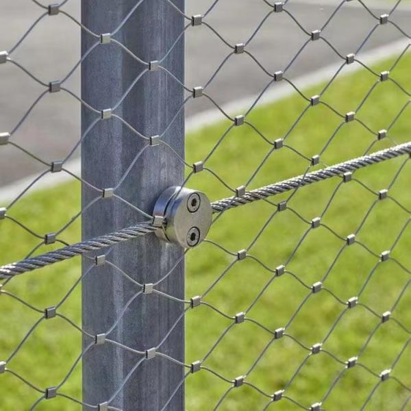 Maillage en acier inoxydable à oxydation noire de 1 mm pour cages d'oiseaux