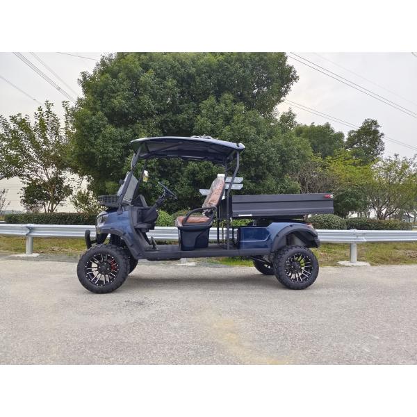 Multi-Purpose Utility Vehicle 2-Seater Golf Cart with Cargo Bed