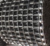 O ferro da relação da escada galvanizou o fio soldado Mesh Conveyor Belt