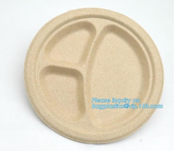 Biodegradable plate food grade green sugarcane bagasse plate,10 sugarcane ecofriendly disposable oval plate bagease pac