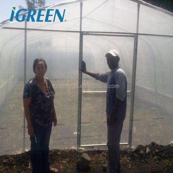 Vegetable Single Span Greenhouse Customized Small Outdoor Greenhouses IGreen