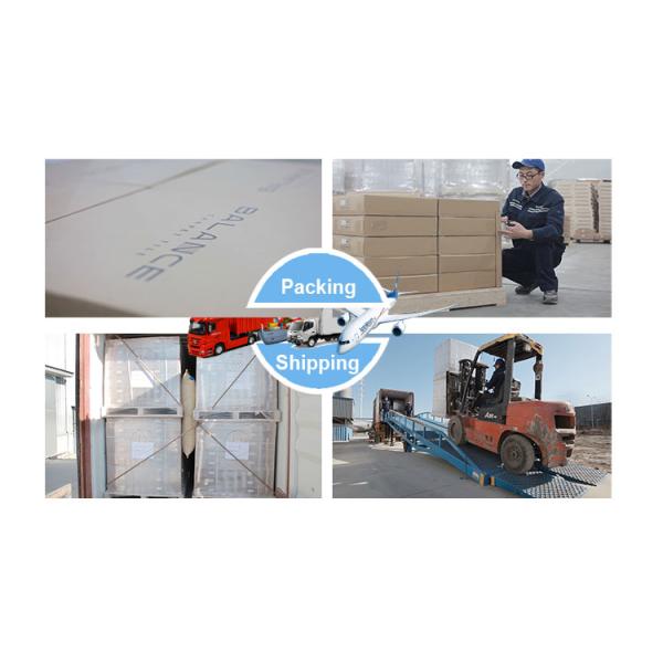 Striped Top Grade Plank Room Carpet Tiles for Home 100% Polypropylene