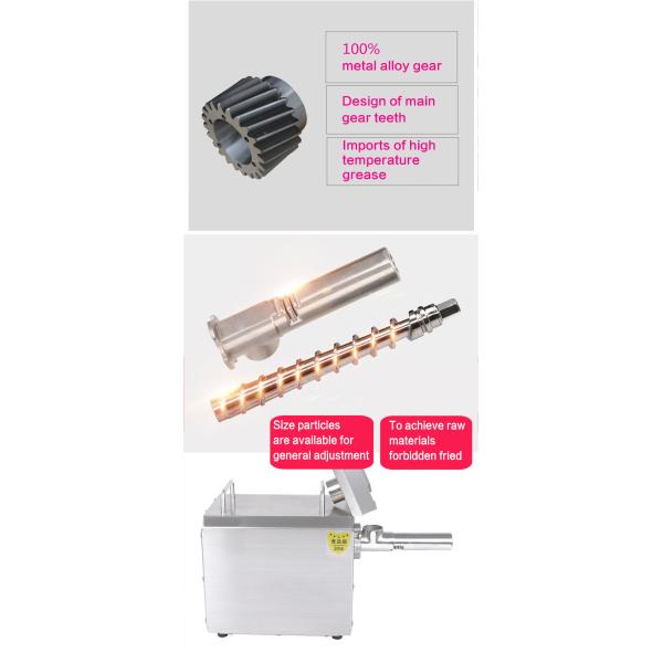 Energy Saving Solution for Small Businesses Mini Seed Oil Extractor Almond Oil Extraction Machine