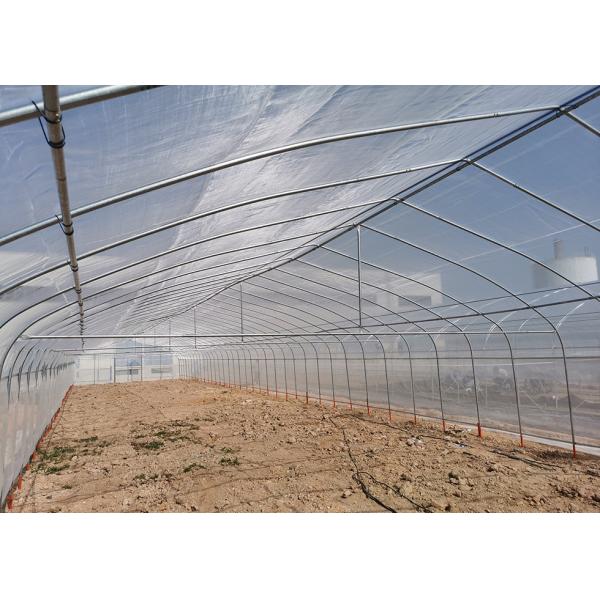 Vegetable Growing Single Span Greenhouse With Insect Screen Covering Material