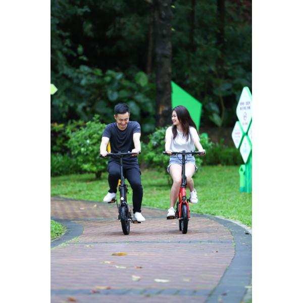 14 Inch Electric Folding Bike Lightweight Environmental Protection Energy Saving Assistant