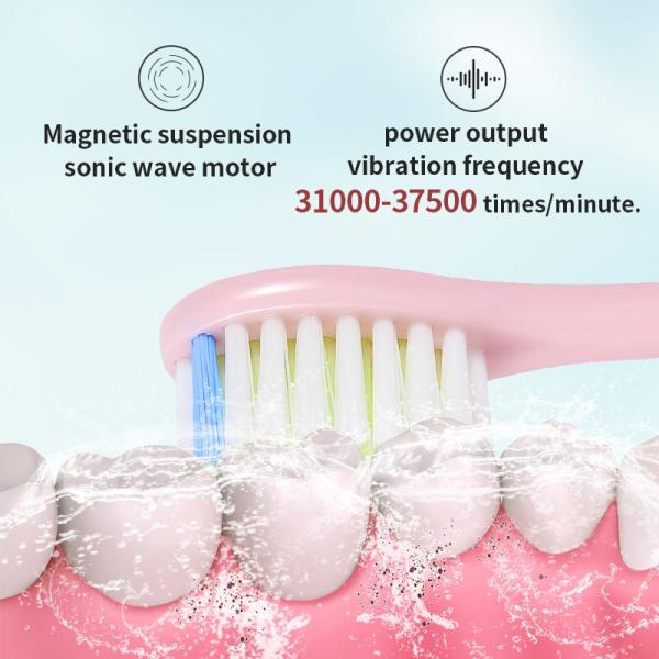 15 Modes Electric Portable Battery Toothbrush IPX7 Water Resistant