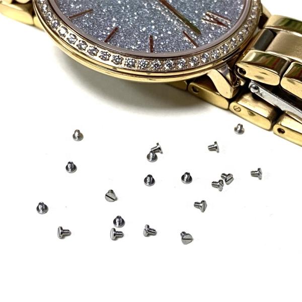 Stainless Steel Ultra Low Profile Watch Screw M0.8x1mm DIN Standard