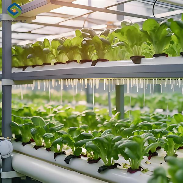 Agricultural NFT Vertical Growing Greenhouse Soilless Greenhouse Multi Span