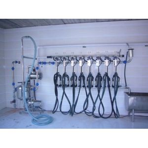 Automatic Milking Parlour
