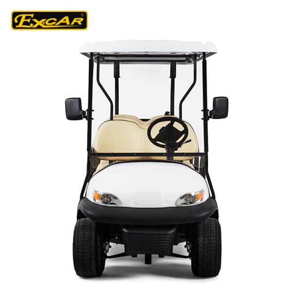 Elegant 6 Person Electric Golf Buggy