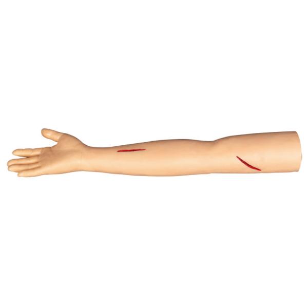 Suture Arm Surgical Training Models for cutting and suturing in colleage ,