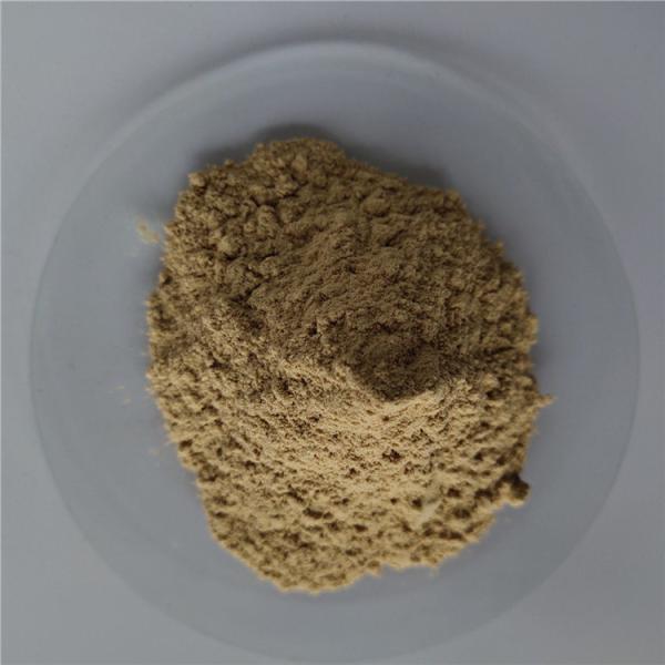 gmp appetite suppressant green coffee bean extract in bulk
