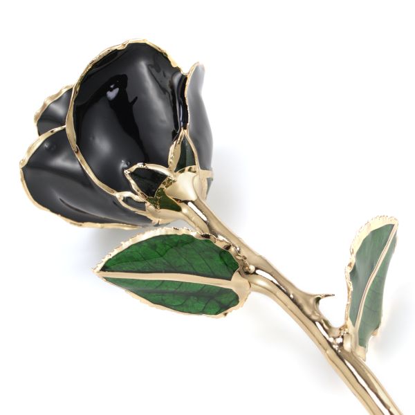 24k Flowers Gilded Rose Factory Direct Birthday Valentine Christmas Wedding Gifts Office Decoration