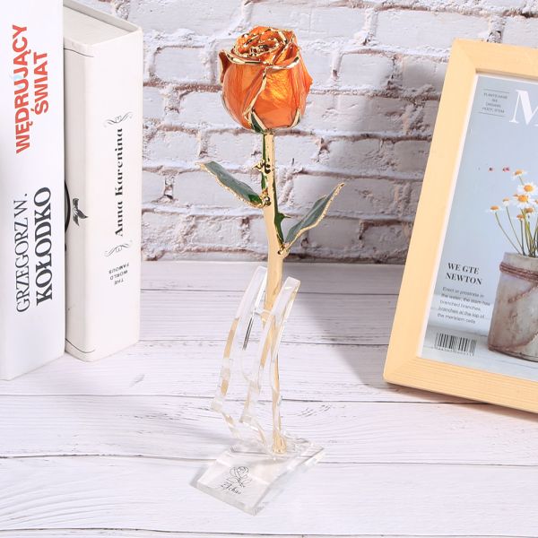 China Manufacture Supply Gold Plated Real Rose Real Flower Natural Rose for Valentine Gifts Preserved Rose