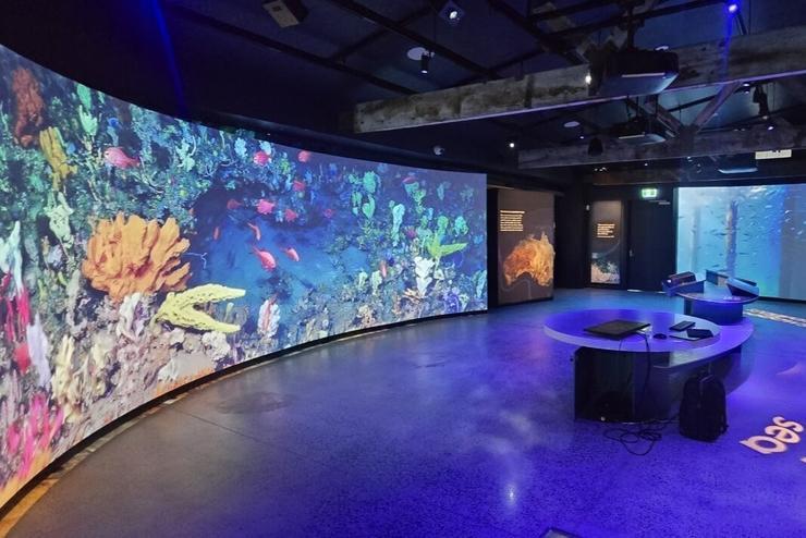 P1.538 Curved Led Video Wall RGB Indoor Full Color Led Display 3840Hz