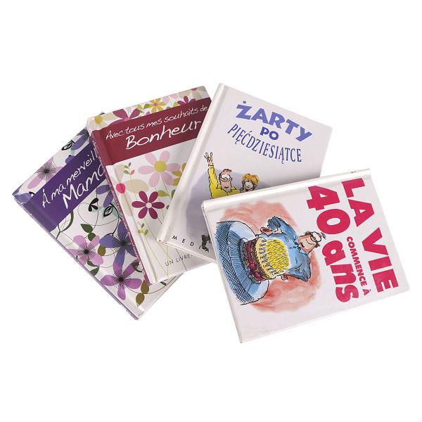 Wholesale Custom Mini Hardcover Student Cartoon Book Printing for Business Use