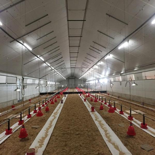 Prefab Light Steel Chicken House Shed Poultry Farm Building