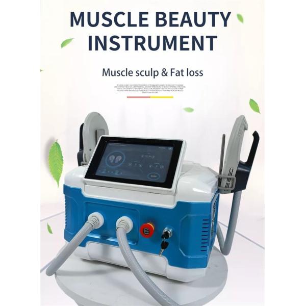 Портативный ваять мышцы тела потери веса Ems машины Emt экрана касания Hi