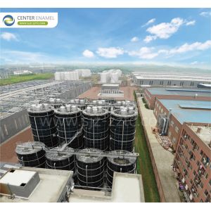 Efficient Biogas Projects: GFS Tanks and Double Membrane Roofs for South Africa Household Waste