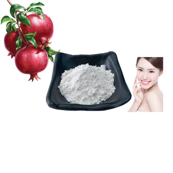 Commercial 99% Plant Extract Powder Pomegranate Peel Extract Ellagic Acid