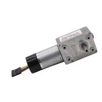 L'engrenage à vis sans fin de C.C d'ASLONG JGY-370GB circule en voiture le haut réducteur du couple 12v