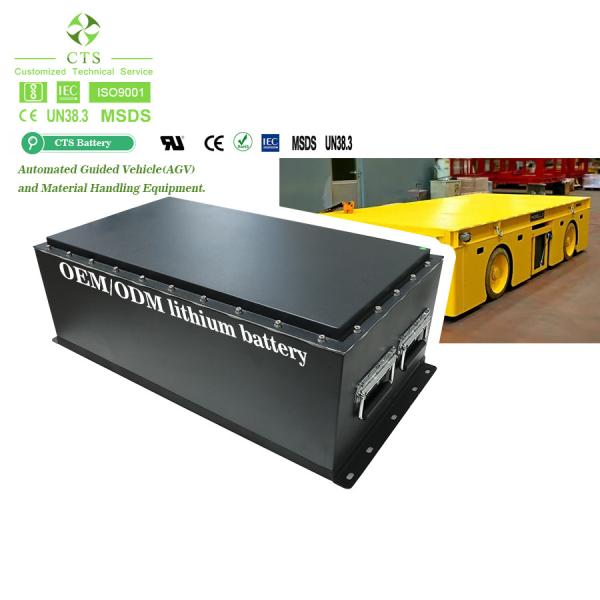 380*210*245mm 48V 300ah Lifepo4 Batteries for Customize Golf Cart from CTS