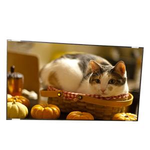 Módulo de tela LCD TFT de 42,0 polegadas P420HW02 V0 Painel de tela LCD para