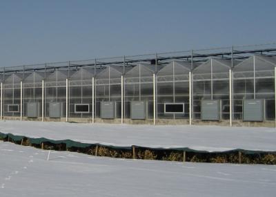 PC Sheet Cover Material and Commercial Vegetables Seeds Vertical Farming Greenhouse